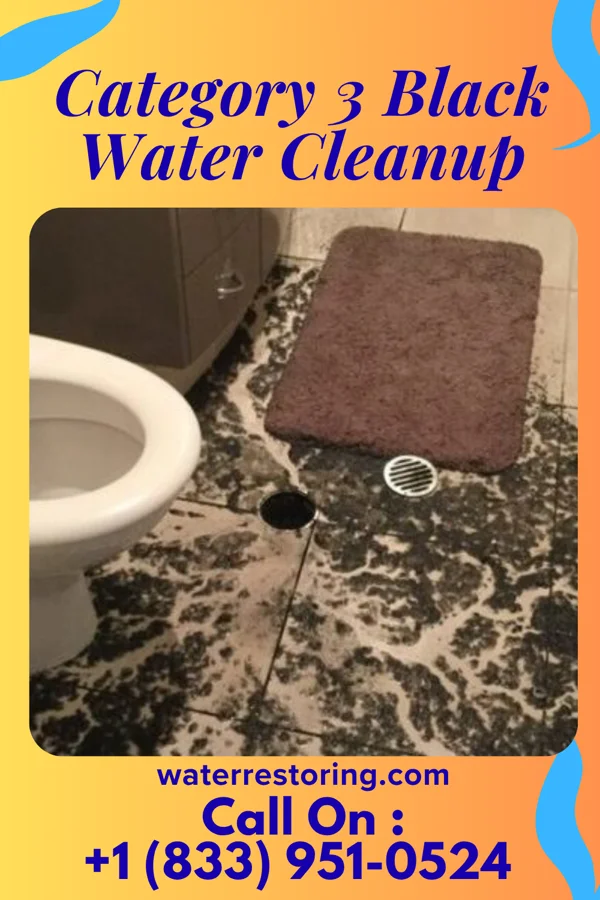 Category 3 Black Water Cleanup in Golconda, IL