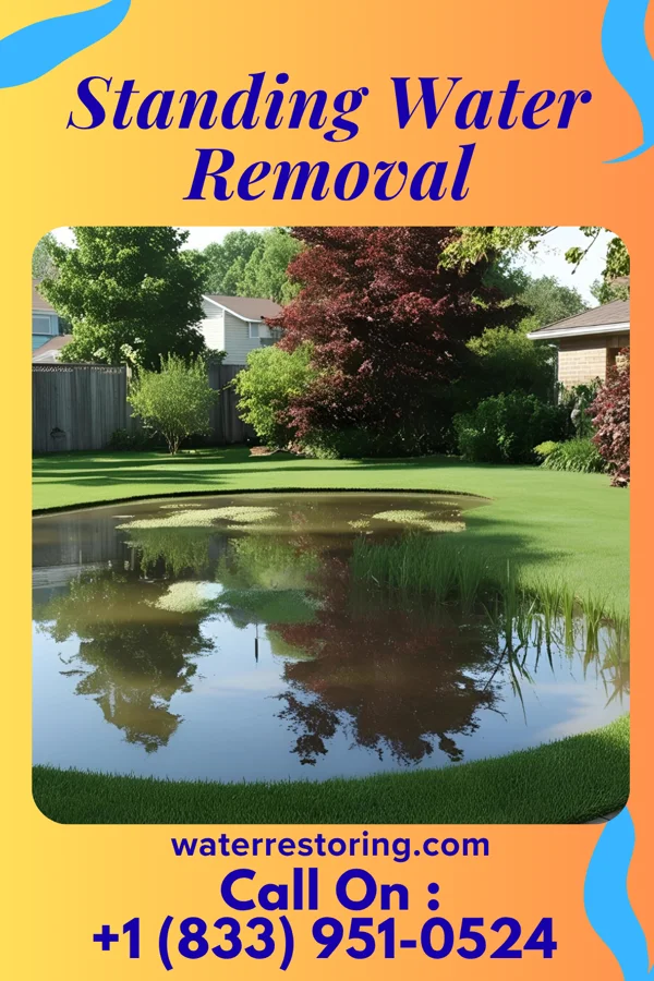 Standing Water Removal in Golconda, IL